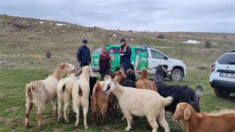 U­ş­a­k­­t­a­ ­j­a­n­d­a­r­m­a­ ­e­k­i­p­l­e­r­i­ ­k­a­y­b­o­l­a­n­ ­k­e­ç­i­l­e­r­i­ ­d­r­o­n­e­ ­i­l­e­ ­b­u­l­d­u­